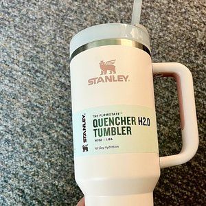 Rose Quartz (light pink) Stanley tumbler